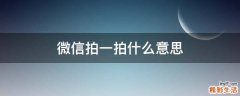 微信拍一拍什么意思