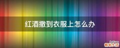 红酒撒到衣服上怎么办