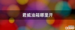 君威油箱哪里开
