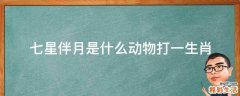 七星伴月是什么动物打一生肖