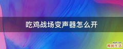 吃鸡战场变声器怎么开
