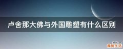 卢舍那大佛与外国雕塑有什么区别