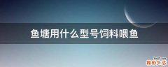 鱼塘用什么型号饲料喂鱼