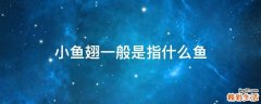小鱼翅一般是指什么鱼