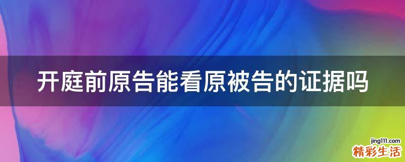 开庭前原告能看原被告的证据吗