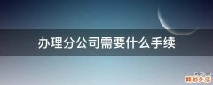 办理分公司需要什么手续