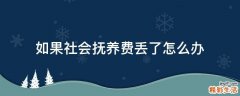 如果社会抚养费丢了怎么办