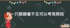 有一只眼睛看不见可以考驾照吗