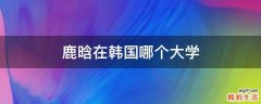 鹿晗在韩国哪个大学