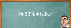 枸杞子泡水放多少