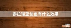 泰拉瑞亚剑鱼有什么效果