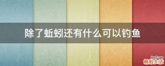 除了蚯蚓还有什么可以钓鱼