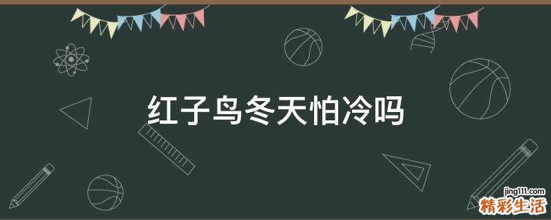 红子鸟冬天怕冷吗