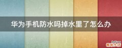 华为手机防水吗掉水里了怎么办