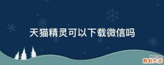天猫精灵可以下载微信吗