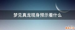 梦见真龙现身预示着什么
