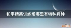 和平精英训练场哪里有特种兵种