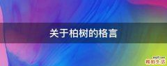 关于柏树的格言