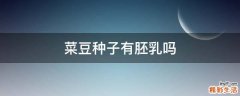 菜豆种子有胚乳吗