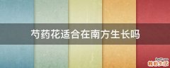 芍药花适合在南方生长吗