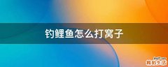 钓鲤鱼怎么打窝子