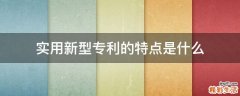 实用新型专利的特点是什么