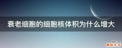 衰老细胞的细胞核体积为什么增大