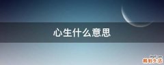 心生什么意思