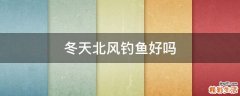 冬天北风钓鱼好吗