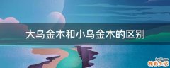 大乌金木和小乌金木的区别