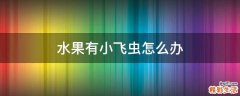 水果有小飞虫怎么办