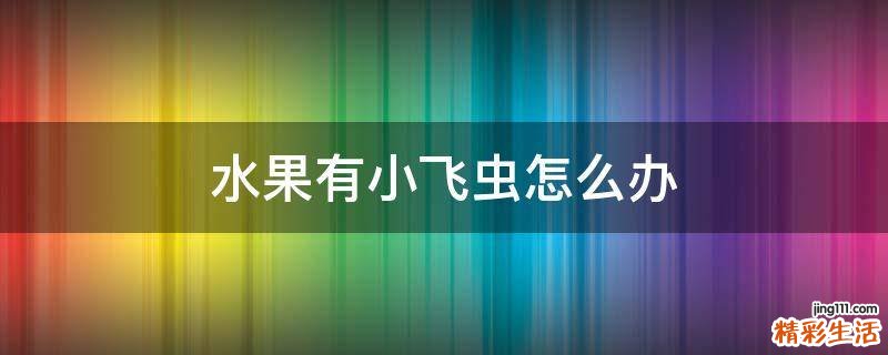 水果有小飞虫怎么办