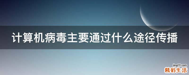 计算机病毒主要通过什么途径传播