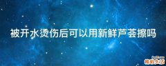 被开水烫伤后可以用新鲜芦荟擦吗