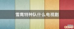 雪鹰特种队什么电视剧