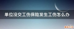 单位没交工伤保险发生工伤怎么办
