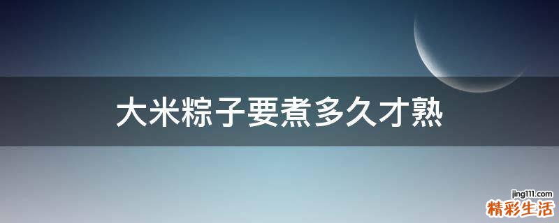 大米粽子要煮多久才熟