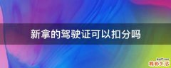 新拿的驾驶证可以扣分吗