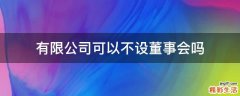 有限公司可以不设董事会吗
