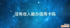没有收入能办信用卡吗
