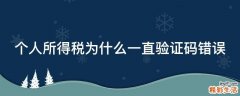 个人所得税为什么一直验证码错误