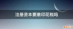 注册资本要缴印花税吗
