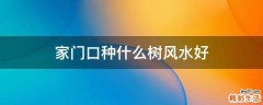 家门口种什么树风水好