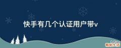 快手有几个认证用户带v