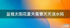 盆栽太阳花夏天需要天天浇水吗