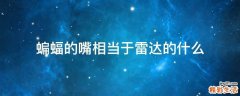 蝙蝠的嘴相当于雷达的什么