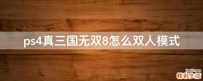 ps4真三国无双8怎么双人模式