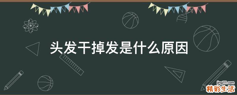 头发干掉发是什么原因