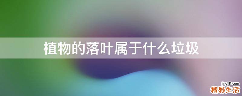 植物的落叶属于什么垃圾