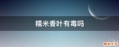 糯米香叶有毒吗